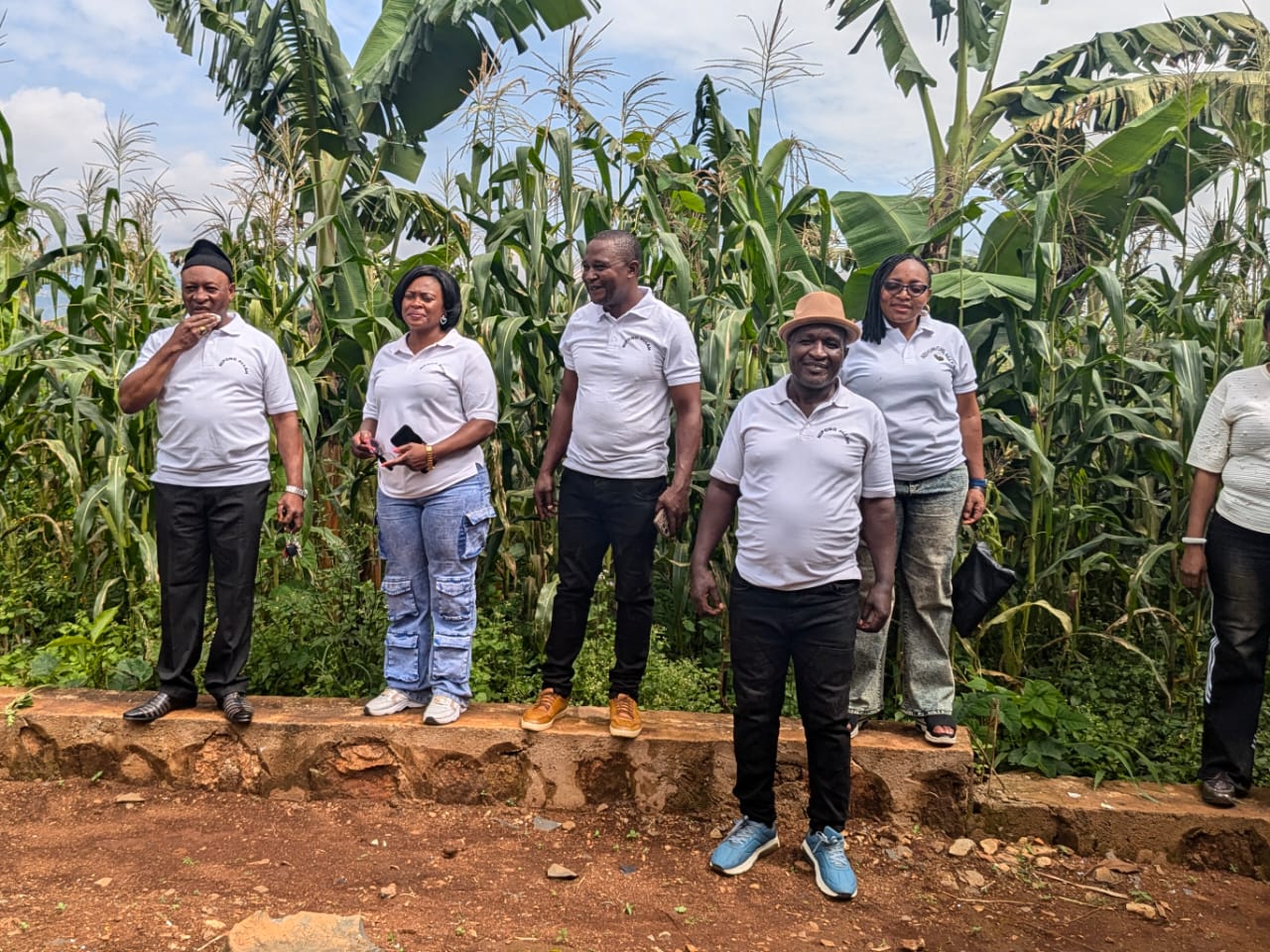 Members inspecting the corn crop