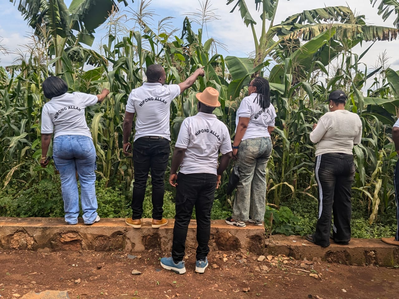 Members looking over the corn fields