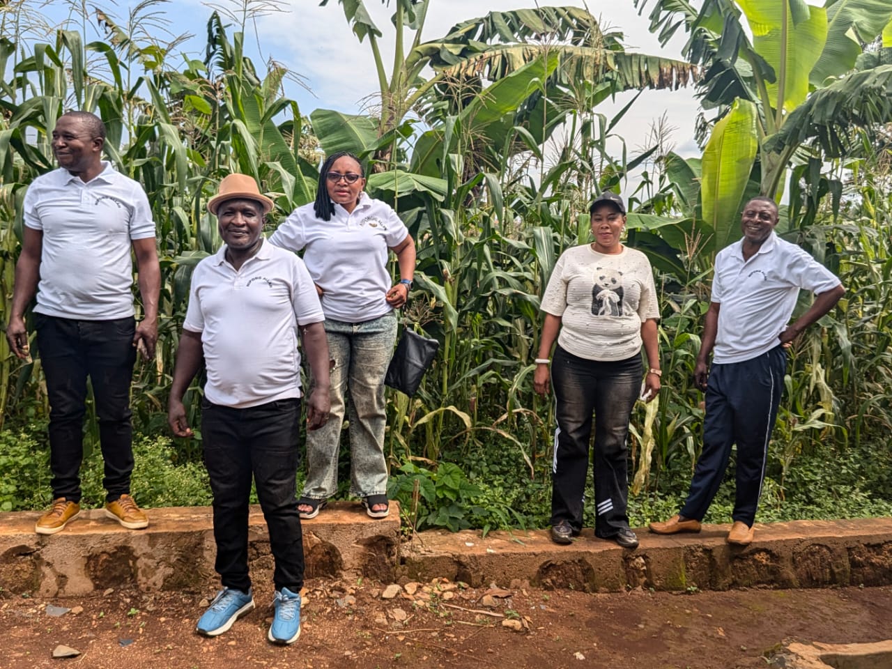 Members inspecting crops from behind