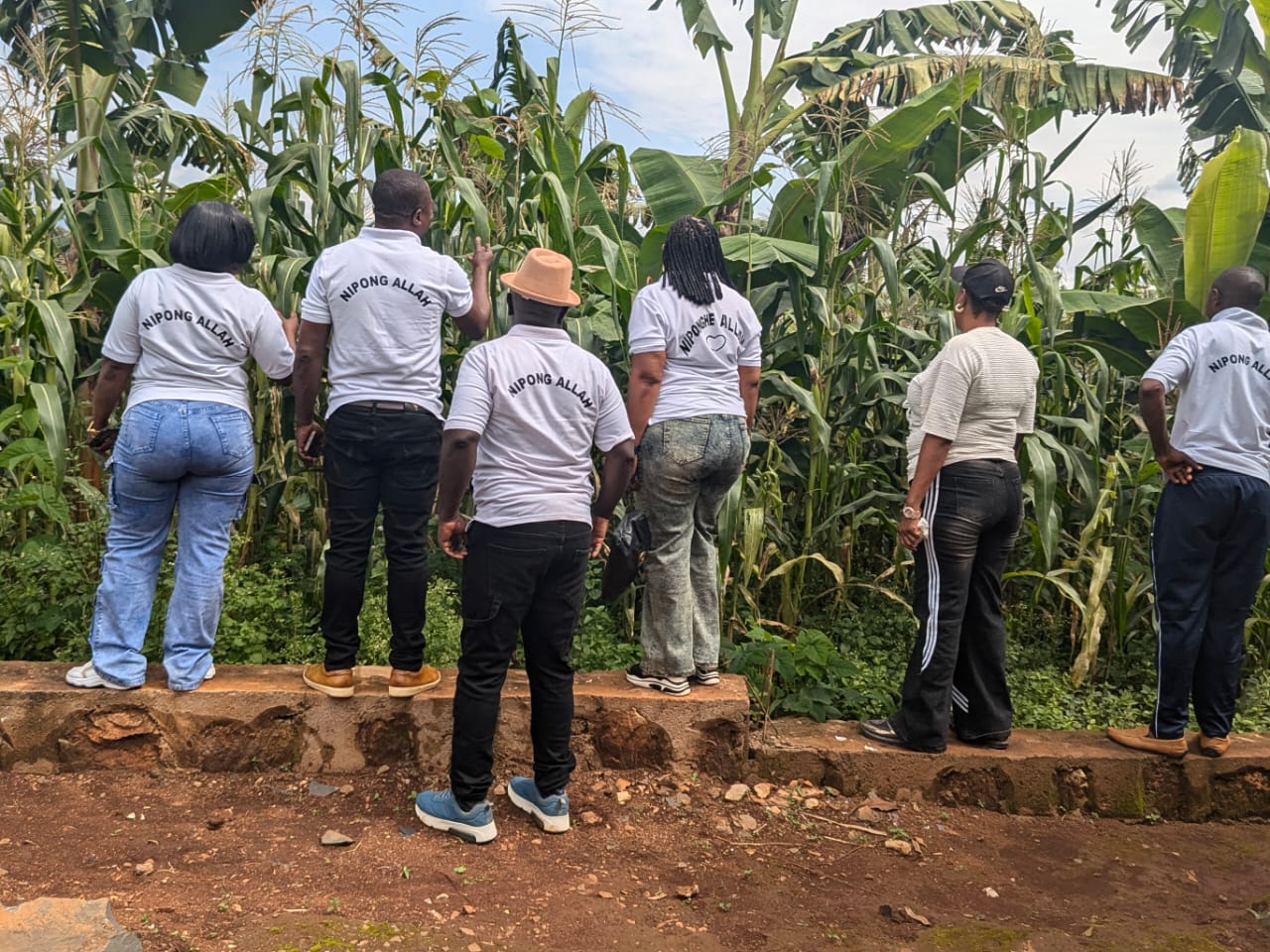 Wide shot of members at the corn farm