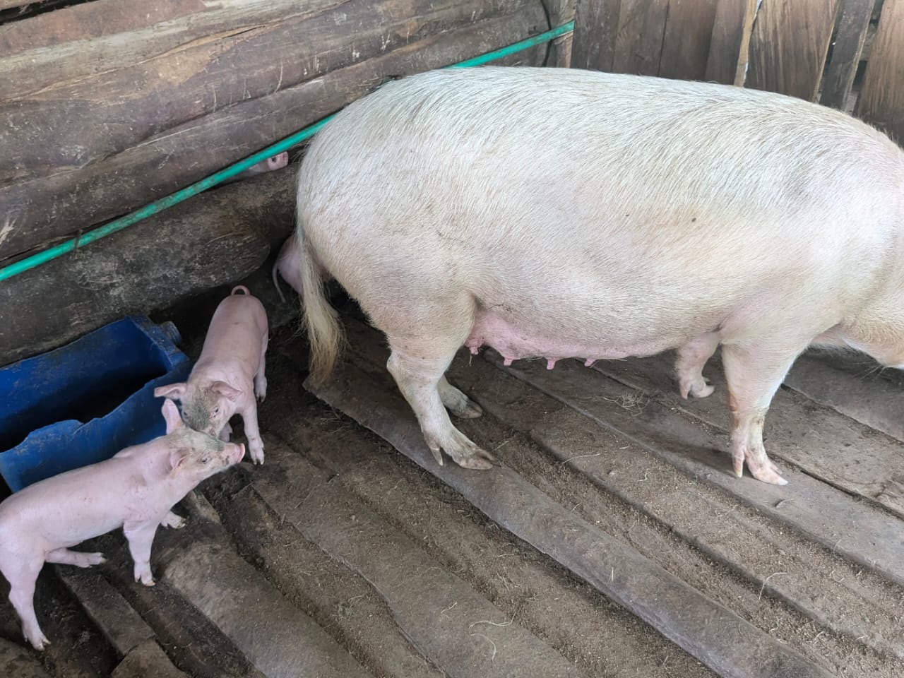 Members smiling during the farm visit