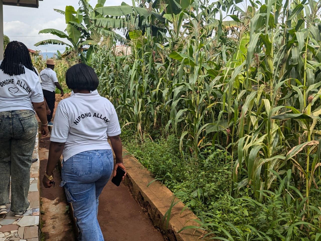 Members walking along the corn farm
