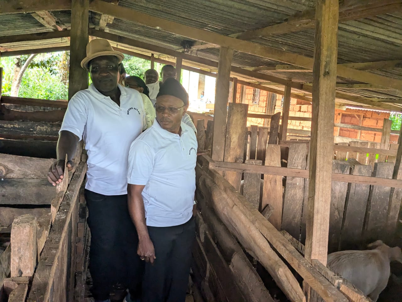 Members inside the pig pen