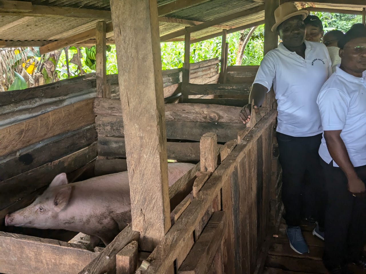 Members engaging inside the pig farm